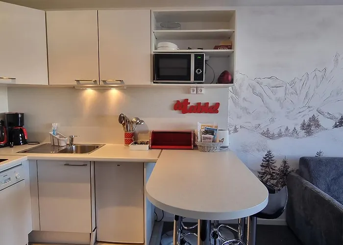 Apartmán Renove Au Pied Des Pistes Avec Balcon Et Tv - Fr-1-181-2573